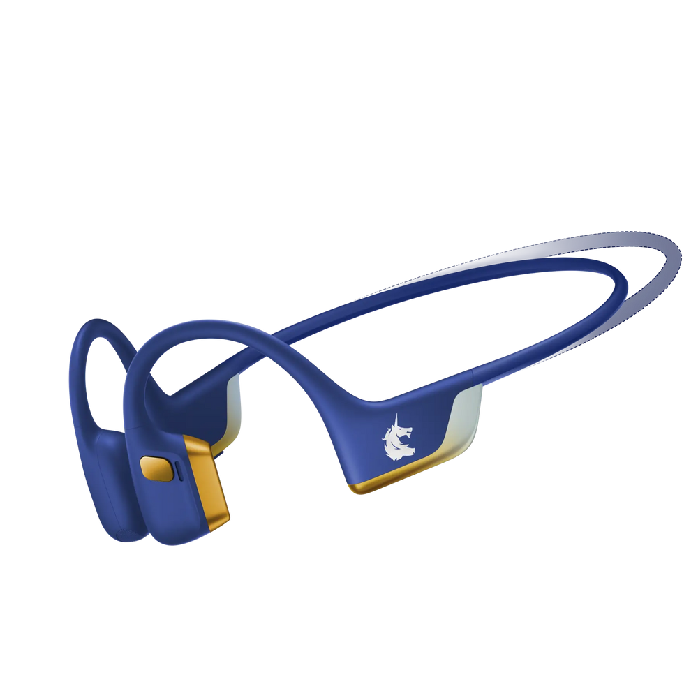 Boston Marathon Mini