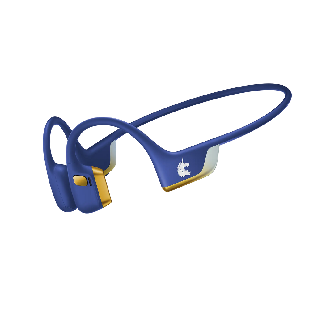 Boston Marathon Standard