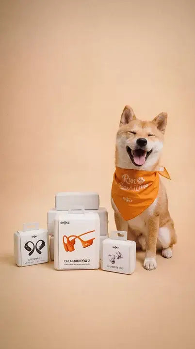 Shokz x VRC National Pet Day Community Run 2026