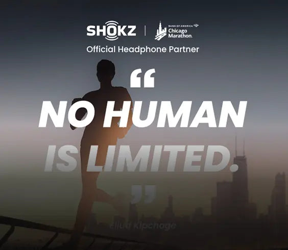 Chicago Marathon 2025