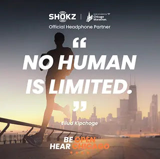 Chicago Marathon 2025