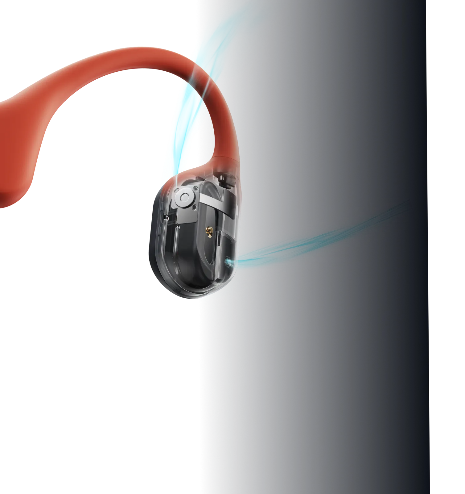 Shokz Image
